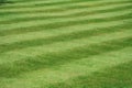 A view of a neatly mown lawn, 45 deg to the stripe, 15 stripes