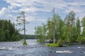 View of the Neitikoski Rapids, part of Ruunaa Rapids, Lieksa, Finland Royalty Free Stock Photo