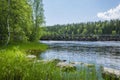 View of the Neitikoski Rapids, part of Ruunaa Rapids, Lieksa, Finland Royalty Free Stock Photo