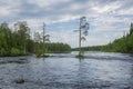 View of the Neitikoski Rapids, part of Ruunaa Rapids, Lieksa, Finland Royalty Free Stock Photo
