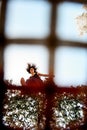 View through the net of beautiful woman jumping on trampoline