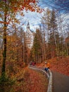 Autumn View of Neuschwanstein Castle