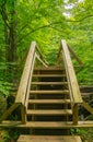 A New Stairs on Hiker Footbridge along the Appalachian Trail Royalty Free Stock Photo