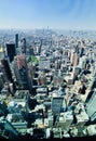 The view of New York City from Empire State Building Royalty Free Stock Photo