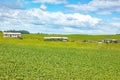 New Zealand farming industry in North Island countryside