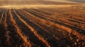 View of a newly plowed field ready for planting with visible furrows across the field