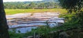 The view of the newly plowed rice field
