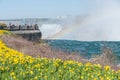 View at Niagara Falls and flowers from Canadian side Royalty Free Stock Photo