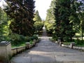 In the Batumi`s Batanic Garden