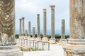 Nine granite columns, part of the palaestra in Al Mina archaeological site, Roman ruins in Tyre, Lebanon