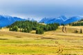 Kurai steppe and the North-Chuya mountain range. mountain Altai