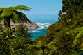 A view to Manukau Heads from Waitakere Regional Park