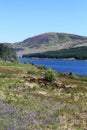 View northeast across Loch Doon in Scotland Royalty Free Stock Photo