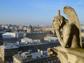 View from Notre Dame tower, Paris
