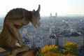 View from Notre Dame tower, Paris