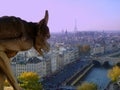 View from Notre Dame tower, Paris