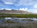 Nyangchu river valley, with the Gyantse Dzong Fortress L & Palcho Monastery R in the background, Gyantse, Shigatse, Tibet