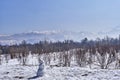 Snowman and mountains of Zaili Alatau. Park of First President, Almaty, Kazakhstan.