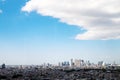 View from the Observatory Skyscrapers and city scape in the heart of the city Royalty Free Stock Photo