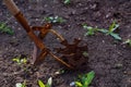 Old rusty garden cultivator on the ground Royalty Free Stock Photo