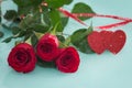 Occasional beautiful red roses with decorative hearts