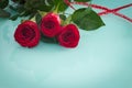 Occasional beautiful red roses with place for a dedications and wishes