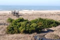 View of the Ocean and boardwalk at Bald Head Island, SC. Royalty Free Stock Photo