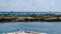 View of the Ocean from Riviera Maya