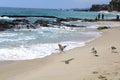 Ocean waves rolling into the beach over the rocks at 1000 Steps Beach Royalty Free Stock Photo