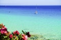 View on the ocean, white boat and pink tropical flowers on the C