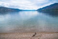 View of pebble beach, calm lake, mountains, and overcast sky at Antler`s Beach, Peachland, British Columbia, Canada