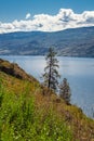 View of Okanagan Lake Peachland British Columbia Canada near Kelowna. Beautiful summer landscape at Okanagan Lake