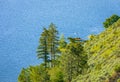 View of Okanagan Lake Peachland British Columbia Canada near Kelowna. Beautiful summer landscape at Okanagan Lake