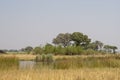 A view of the Okavanga Delta - Botswana - Africa Royalty Free Stock Photo