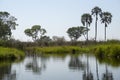 A view of the Okavanga Delta - Botswana - Africa Royalty Free Stock Photo
