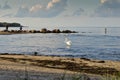 A view of old breakwater posts on beach, Lapmezciems, Riga Bay,