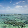 View of old broken jetty during sunny day with coral and green s Royalty Free Stock Photo