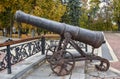 View on Old cast-iron cannon in Chernihiv park, Ukraine