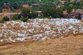 View of the old cemetery in Fes near Marinid Tombs hill. Morocco