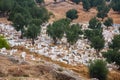 View of the old cemetery in Fes near Marinid Tombs hill. Morocco
