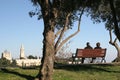 View Of the old city, from local park, Jerusalem