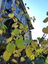 A view of the facade of an old English timber framed faramhouse