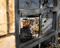 View through old gates into the fuse electrical box door