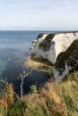 View of Old Harry Rocks at Handfast Point, on the Isle of Purbeck in Dorset Royalty Free Stock Photo