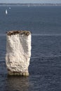 View of Old Harry Rocks at Handfast Point, on the Isle of Purbeck in Dorset Royalty Free Stock Photo