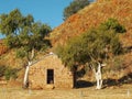 View of an old hut and ghost gums at the overland telegraph station, barrow creek