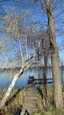 View of the old lake pier on a sunny blue sky day Royalty Free Stock Photo