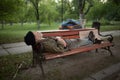 View of old man lying on bench in city park. Royalty Free Stock Photo