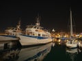 View of the Old Port of Marseille, by night Royalty Free Stock Photo