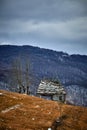 View of the old ruined house building on the hills in winter, Dumesti, Romania,  vertical Royalty Free Stock Photo